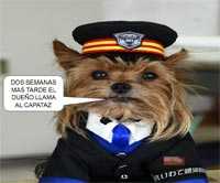 Capataz incompetente