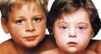 Hermanos, pps, ppt