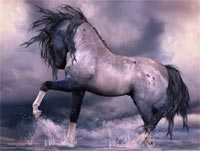Para los amantes de los caballos, pps, ppt