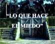 Lo que hace el Miedo