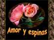 Amor Y Espinas