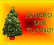 Quiero ser tu Pino