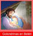 Golondrinas en Belén