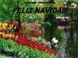 Navidad desde Holanda