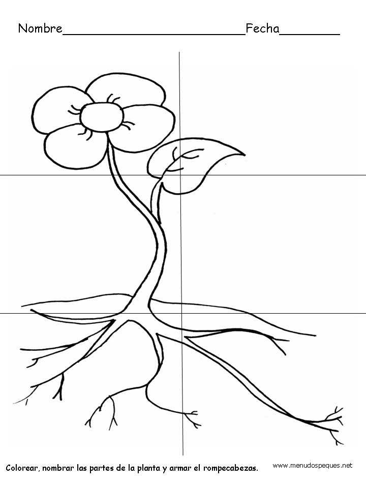 fichas infantiles, fichas para primaria, ejercicios, fichas didácticas, formas geométricas,fichas infantiles, fichas para primaria, ejercicios, fichas didácticas, fichas para la primavera