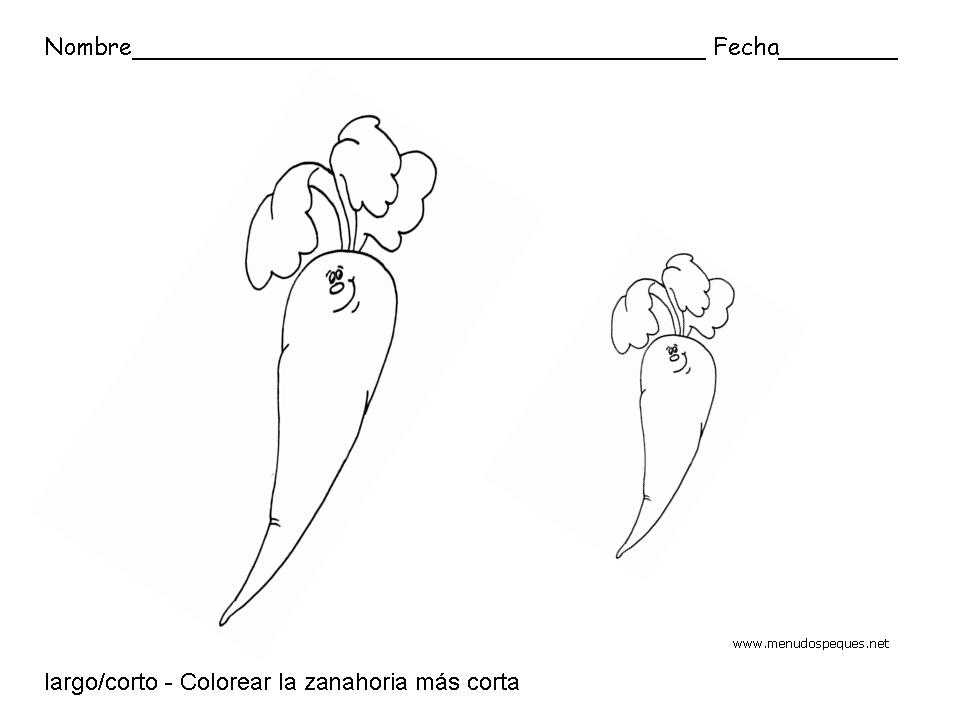 fichas infantiles, fichas para primaria, ejercicios, fichas didácticas, formas geométricas,fichas infantiles, fichas para primaria, ejercicios, fichas didácticas, conceptos básicos