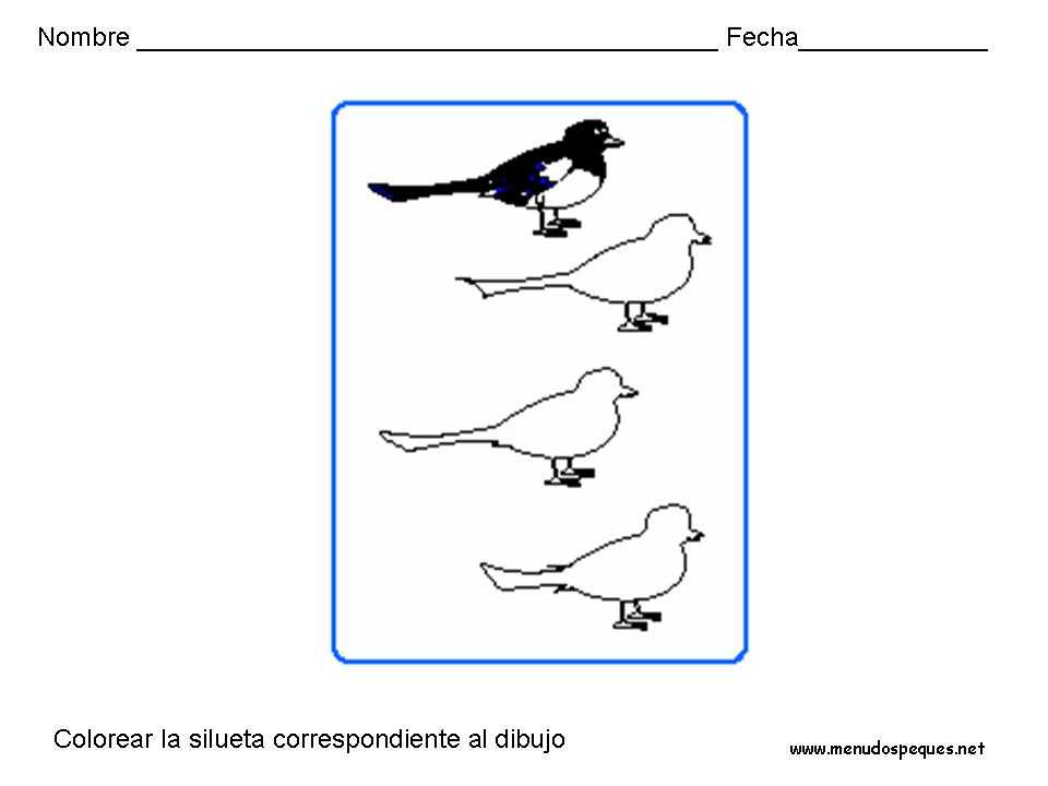 Fichas atención y concentración 03