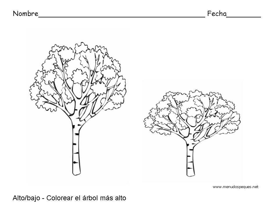 fichas infantiles, fichas para primaria, ejercicios, fichas didácticas, formas geométricas,fichas infantiles, fichas para primaria, ejercicios, fichas didácticas, conceptos básicos