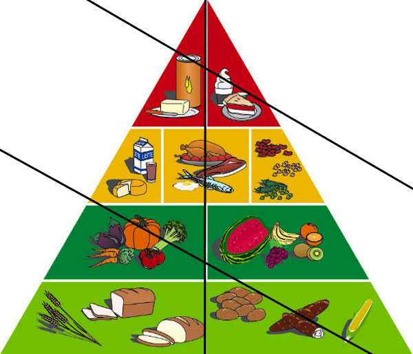 Puzzle alimentación