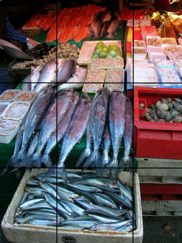 pescados, Puzzle alimentación