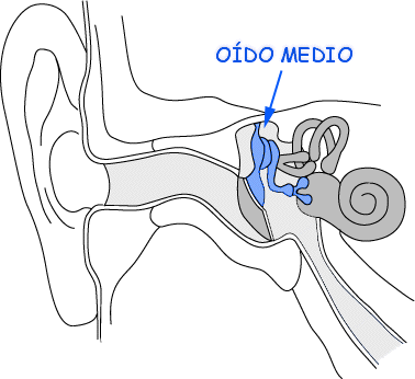 oido medio, sordera, perdida del oído