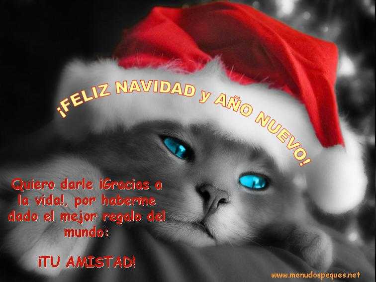 mensajes para navidad, felicitaciones, postales