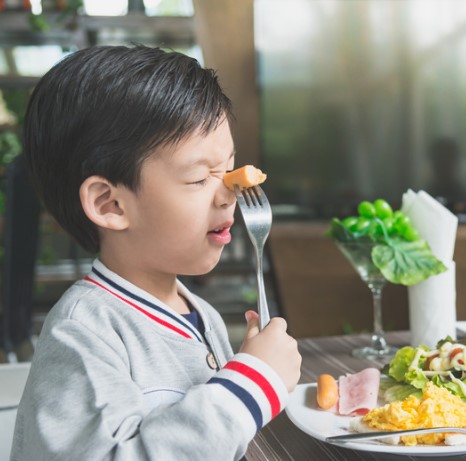 limentación para Niños de 2 a 3 Años