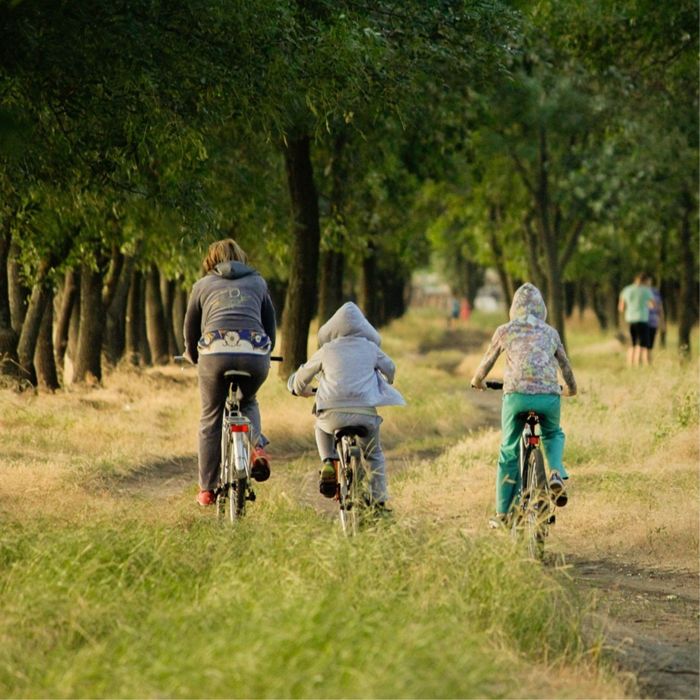 Cómo los padres pueden motivar y apoyar a sus hijos en el deporte