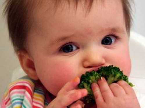 baby led weaning