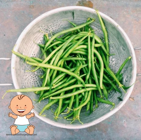 ¿Cuándo puede comer judías verdes o habichuelas el bebé? ¿Son las judías verdes seguras para los bebés?