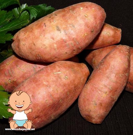 ¿Cuándo pueden comer boniato o batata los bebés?