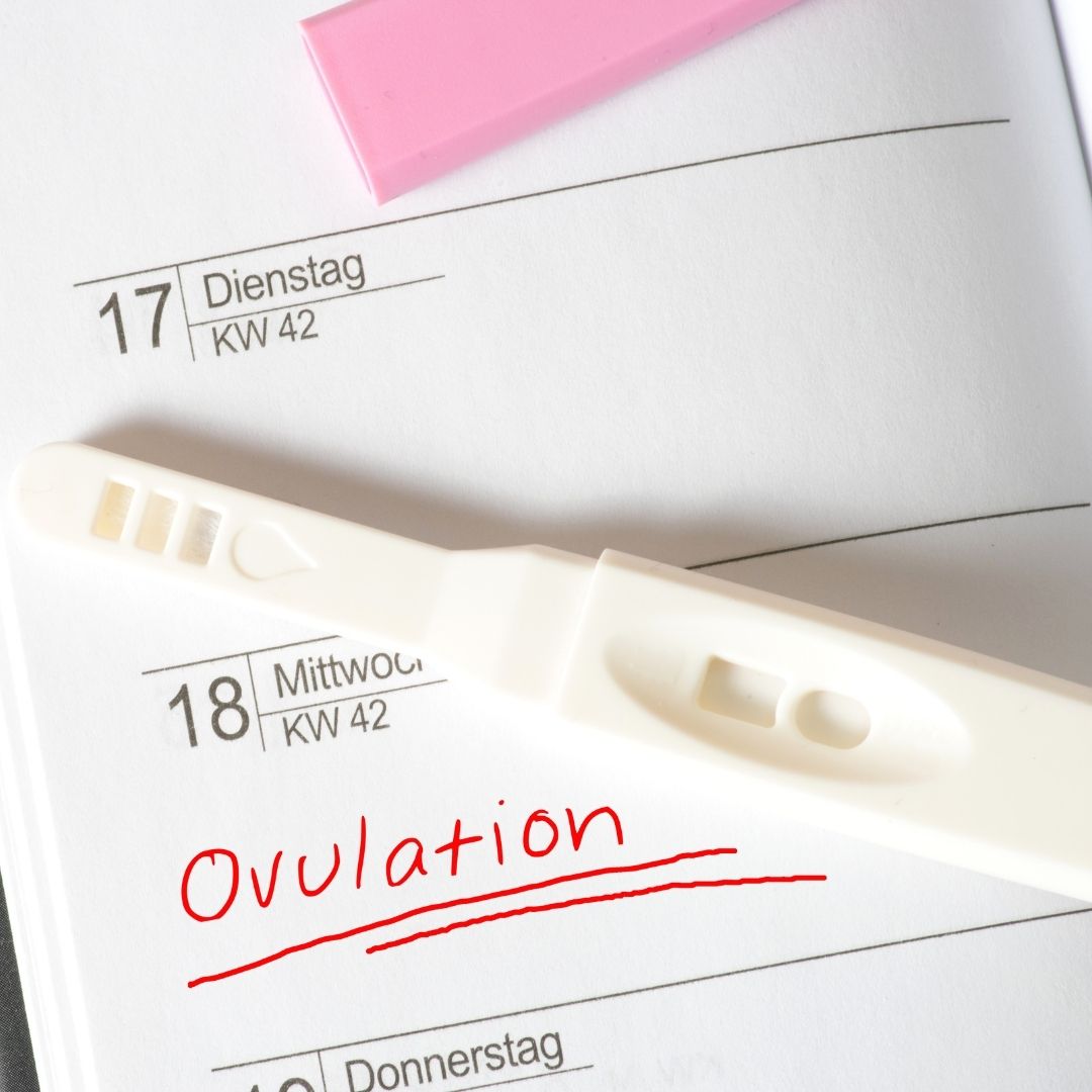 Cómo saber día ovulación
