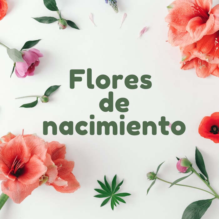 flores de nacimiento, personalidad, bebé, niños