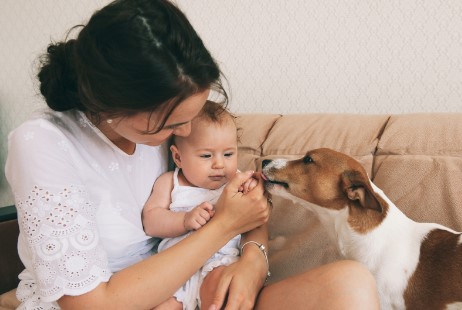 Convivencia de recién nacidos y mascotas