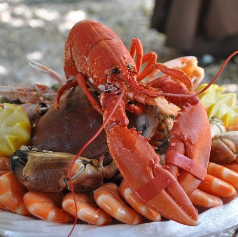 ¿Cuándo pueden comer marisco los bebés?