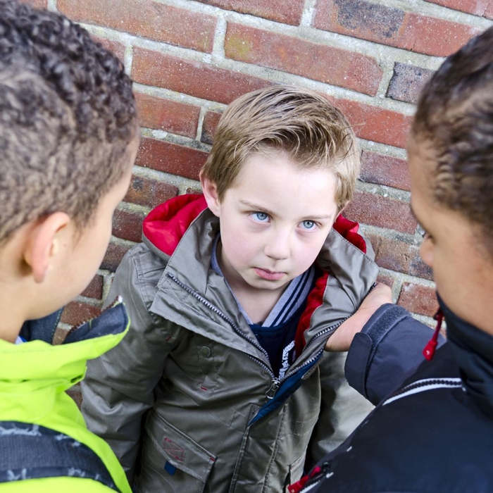 ¿Cómo se frena el acoso escolar?  ¿Cómo reconocer el acoso escolar?