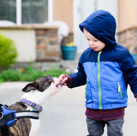 ¿Qué hacer cuando un niño le tiene miedo a los animales?  ¿Por qué los niños le tienen miedo a los animales?