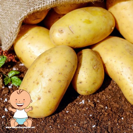 ¿Cuándo pueden comer patatas o papas los bebés?