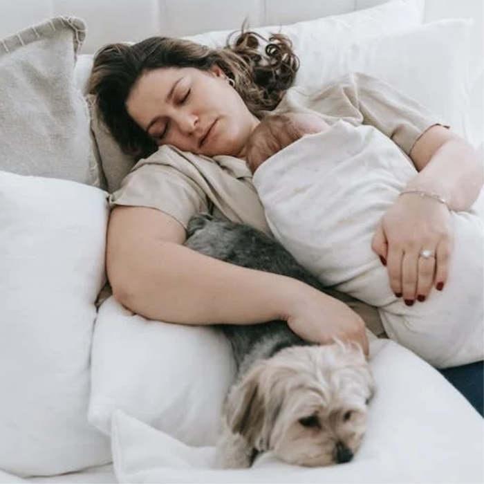 cómo preparar al perro para la llegada del bebé, cómo presentar al perro al bebé de manera segura