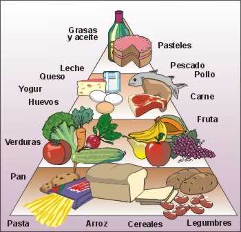 pirámide de la alimentación