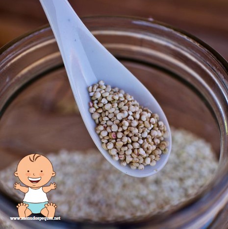 ¿Cuándo puede comer quinoa los bebés?