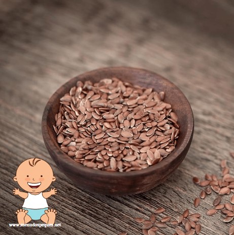 ¿Cuándo pueden comer semillas de lino los bebés? linaza