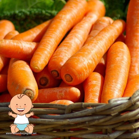 ¿Cuándo pueden comer zanahorias los bebés?