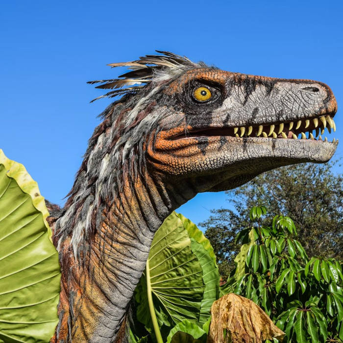 Descubriendo el Mundo de los Dinosaurios: Datos Asombrosos