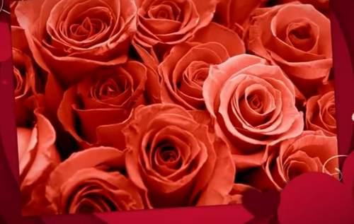 feliz san valentin
